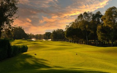 GCSAA trade show booth rentals and custom exhibits